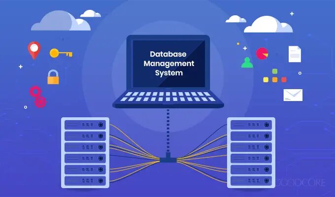 Explore the Future of Database Management at RowNavigator.com